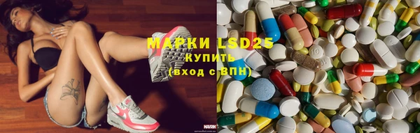 шишки Аркадак