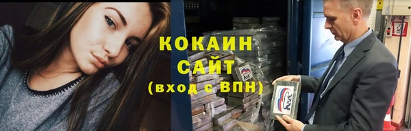 шишки Аркадак