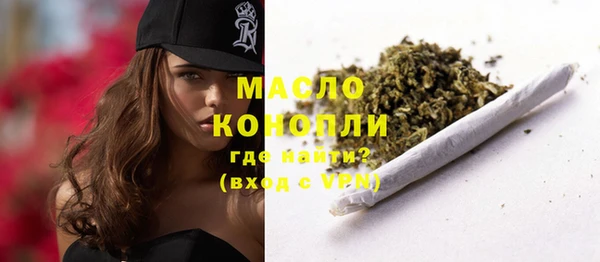шишки Аркадак