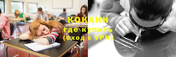 шишки Аркадак
