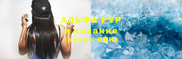 шишки Аркадак