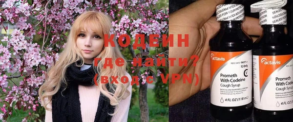 шишки Аркадак