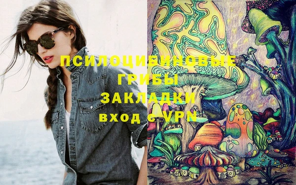 шишки Аркадак