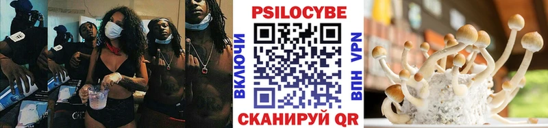 Галлюциногенные грибы Cubensis  Юрьевец 
